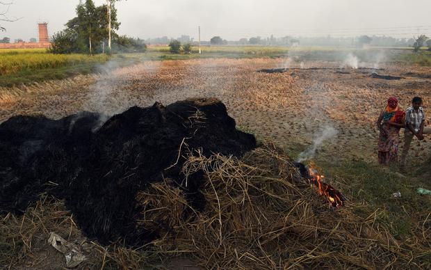 INDIA-ENVIRONMENT-POLLUTION-AGRICULTURE 