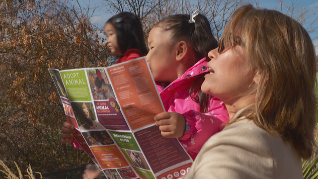 FREE DAY AT THE ZOO 5PKG.transfer_frame_1386 