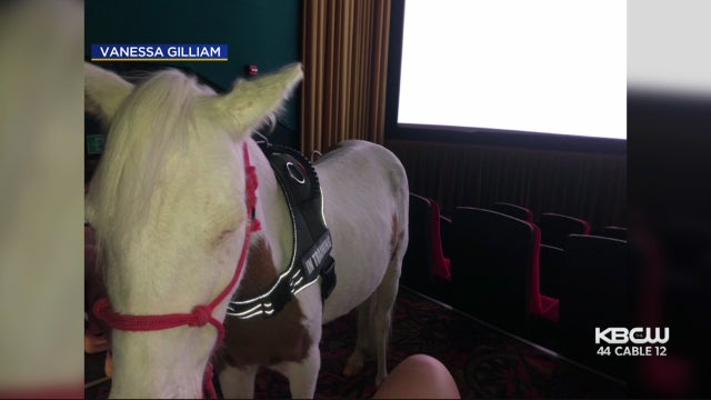 bart-pony-at-movies.jpg 
