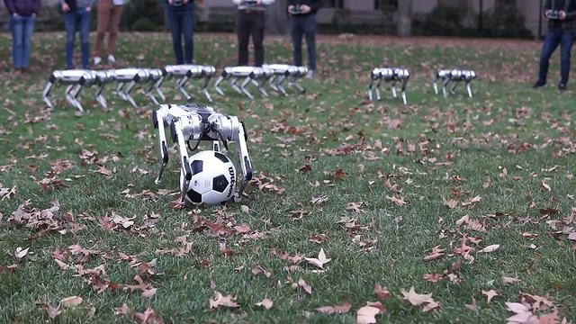 dog-robot.jpg 