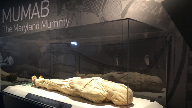 mummy 