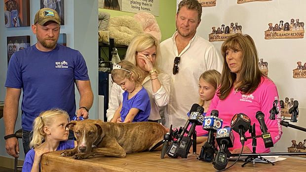 'Miracle' the dog goes to his furever family 