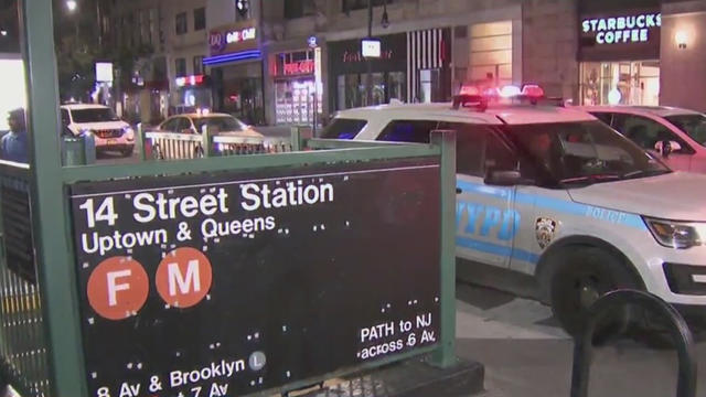 Man-and-dog-slashed-on-subway.jpg 