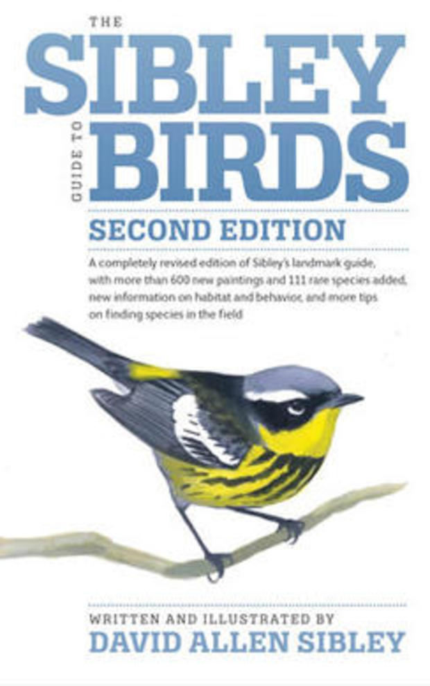 sibley-guide-to-birds-knopf-cover-244.jpg 