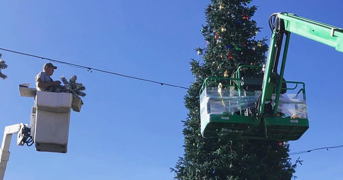 Castle Rock Kicks Off Season With Holiday Tree Lighting CBS Colorado