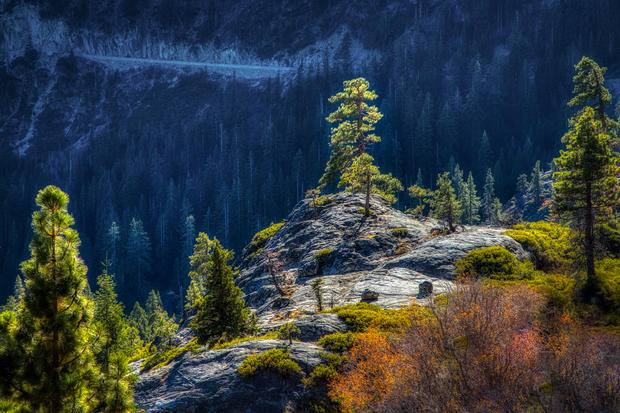 Clifftop Trees at Emerald Bay State Park 