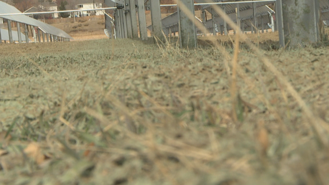 SOLINATOR GARDEN 6 PKG.transfer_frame_1457