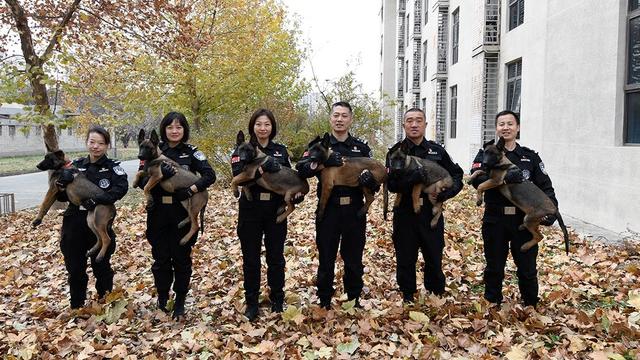 china-police-cloned-dogs.jpg 