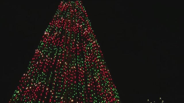 treeoflights.jpg 