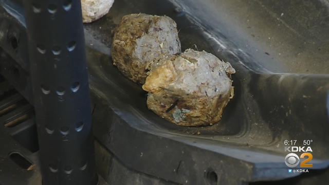 fatberg.jpg 