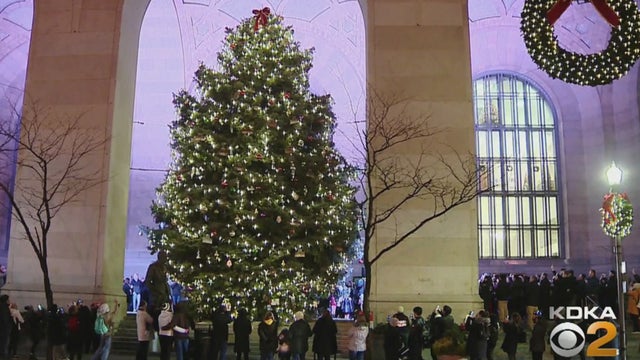 citycountytree.jpg 