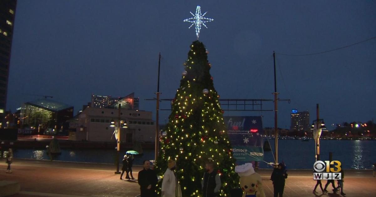 7th Annual Christmas Village Kicks Off At Inner Harbor With Tree