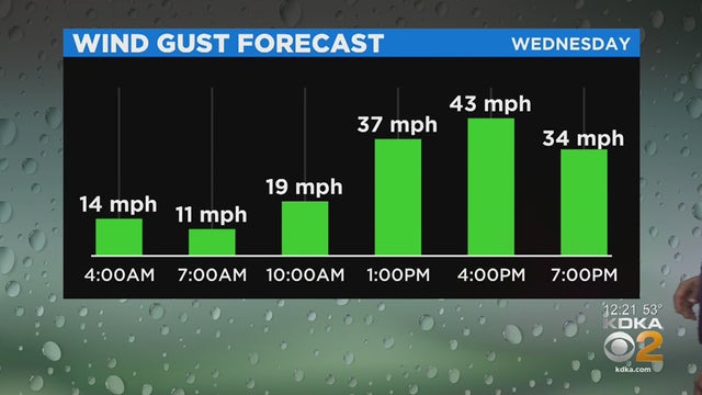 wind-gust-forecast.jpg 