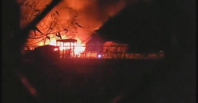 Ohio fire kills at least 10 animals at safari park