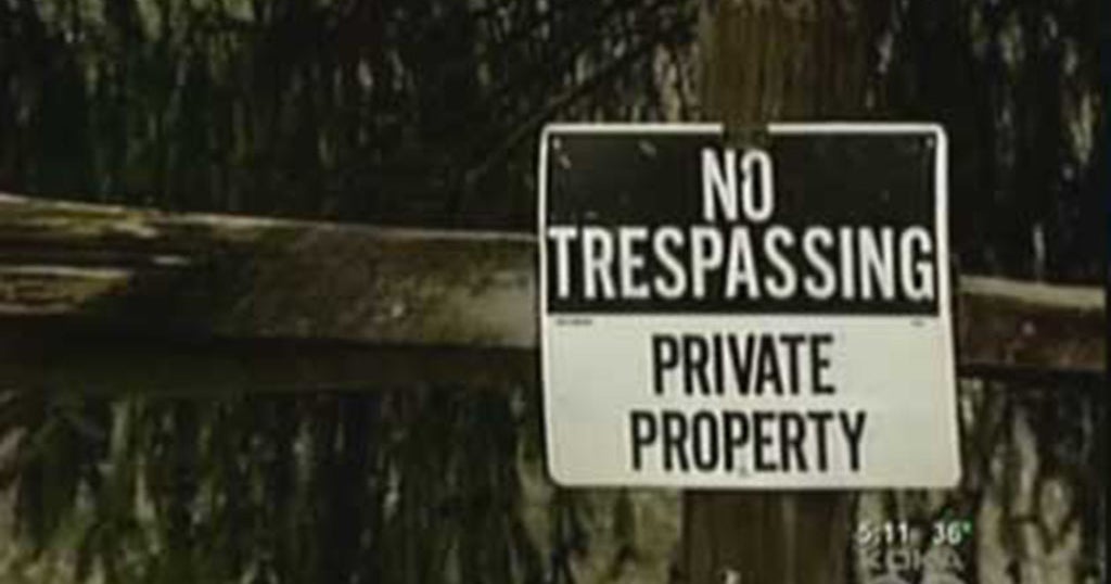 Purple Paint Stripes Now Act As 'No Trespassing' Signs CBS Pittsburgh