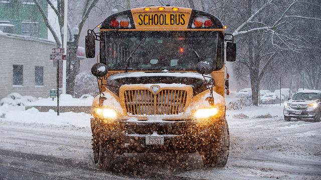 School buses, snow day 