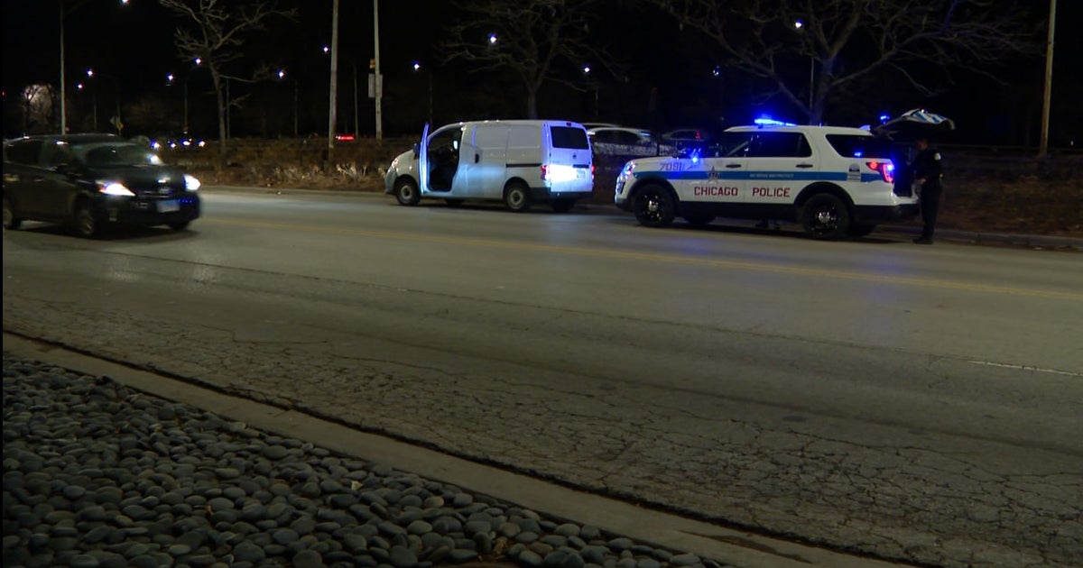 Women, Ages 72 And 91, Hit By Car On Inner Lake Shore Drive In Gold ...