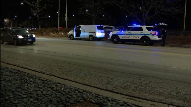 Lake_Shore_Drive_Men_Hit_By_Car_1102.jpg 