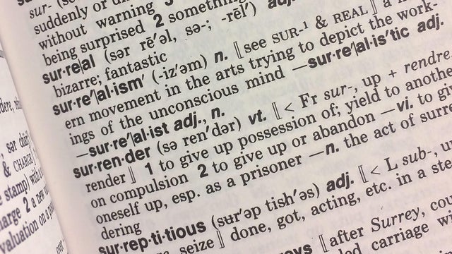 US-LANGUAGE-DICTIONARY-OFFBEAT 