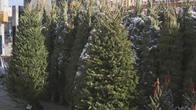 christmastreesforsale.jpg 