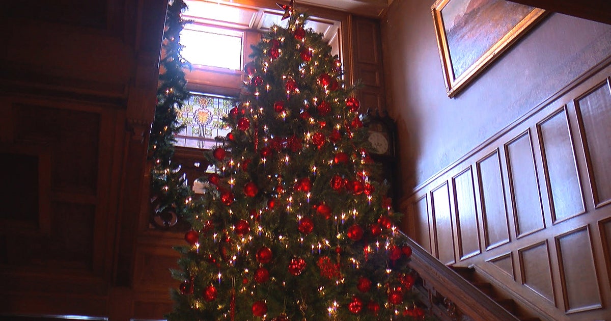 How Did Christmas Trees Come About, And Why Are They Decorated With