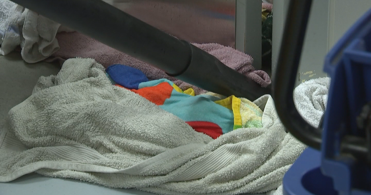 Society Hill Veterinary Hospital Scrambling To Maintain Normal