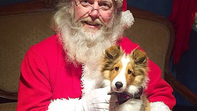 paws-clause-pic.jpg 