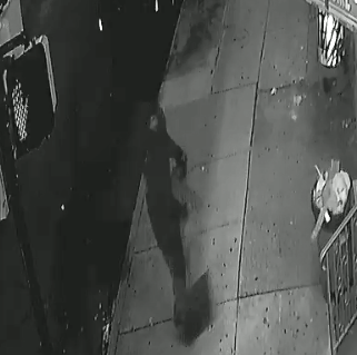 west philadelphia cat shot