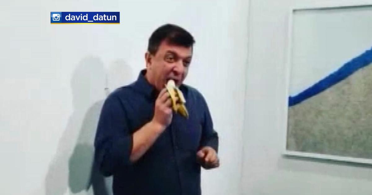 Man Eats Art Basel Banana Duct Taped To Wall - CBS Miami