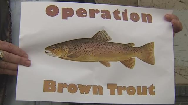 operation-brown-trout.jpg 