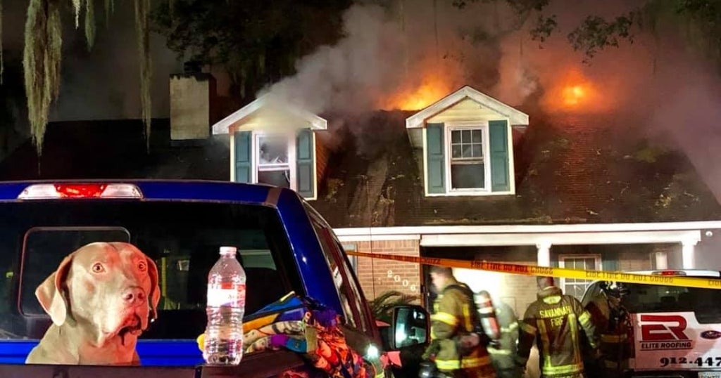 Barking Hero Dog Saves Family Of Five From Raging House Fire - CBS ...