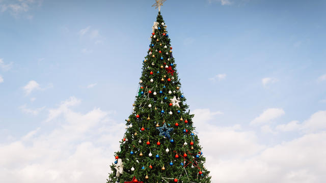 Christmas tree in the city on a clear day 