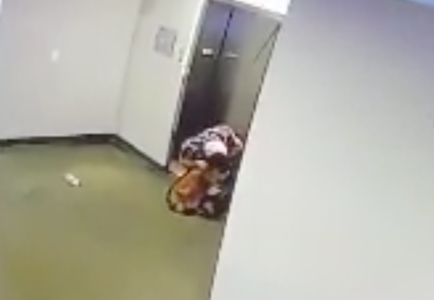 Man rescues dog with leash caught in elevator