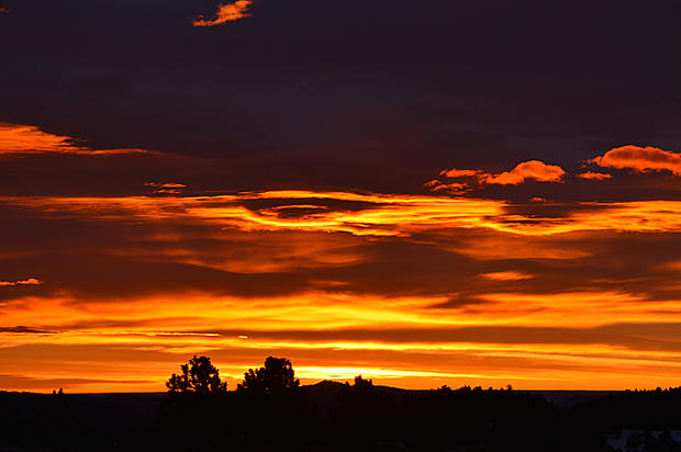 sunrise-Judi-Williams-2.jpg 