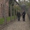 Uncovering the lost music written by prisoners in concentration camps during the Holocaust