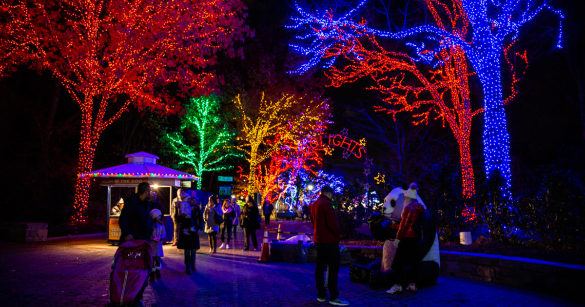 Kostbar ilt vokal More Than A Decade Later, Zoo Lights At Smithsonian National Zoo Remains  Popular DC Attraction - CBS Baltimore