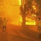Australia declares emergency as wildfires continue to rage