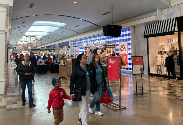 Christmas shoppers at North East Mall