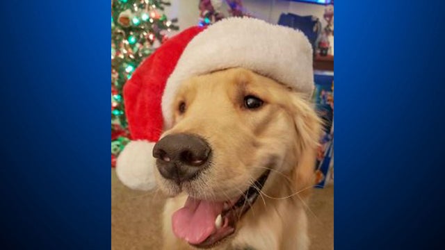 zanechristmas.jpg 