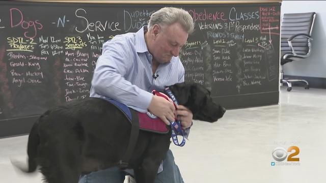 1224servicedog.jpg 