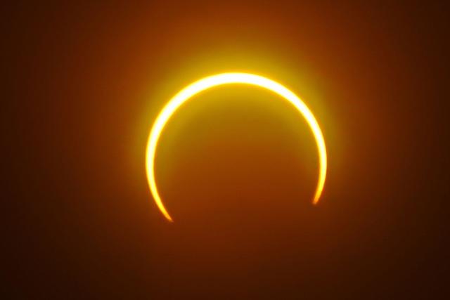 Image from December 26 solar eclipse? - Factcrescendo Sri Lanka - English