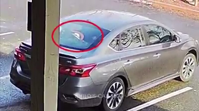 vlcsnap-2019-12-26-19h30m10s469