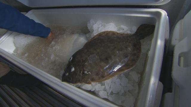 1228-satmo-sustainableseafood-2000013-640x360.jpg 