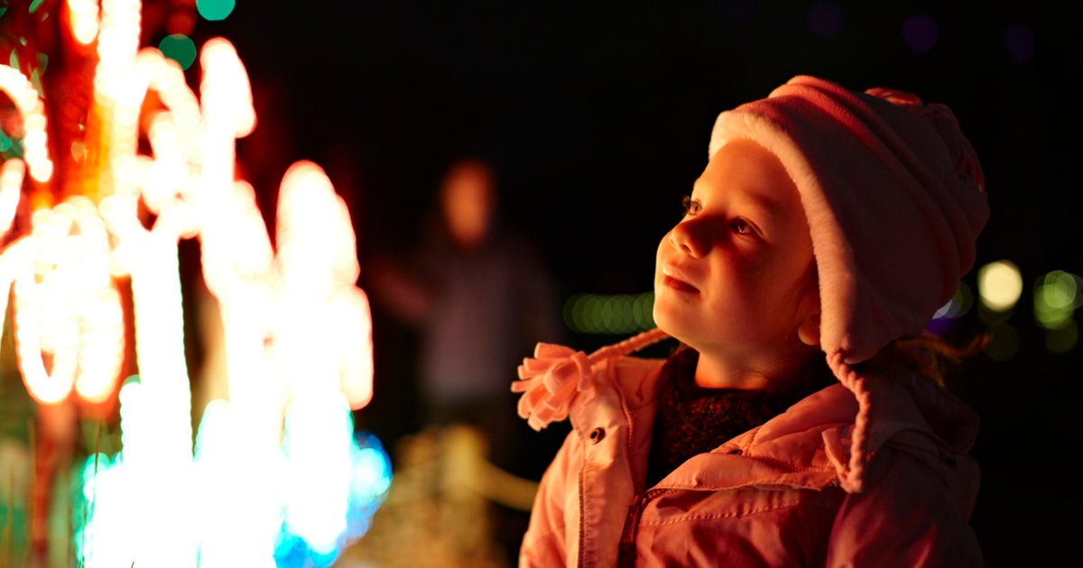 Denver Zoo To Provide Low-Sensory Zoo Lights Experience Tuesday - CBS ...
