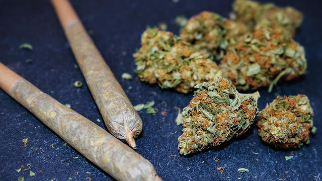 Marijuana Buds 