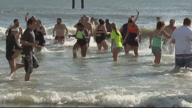 polar-bear-plunge.jpg 