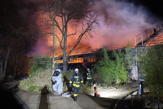 GERMANY-ZOO-ANIMALS-FIRE