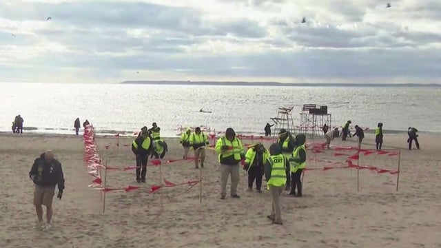 polarbearplunge1.jpg 