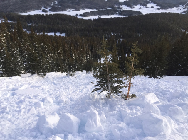 Lizard Head Avalanche 1 (CAIC) 