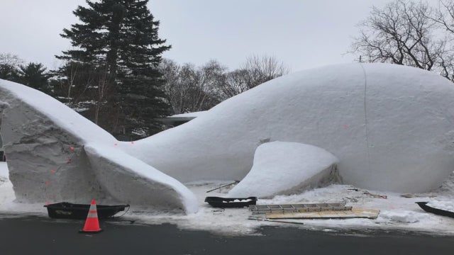 Snow-whale.jpg 